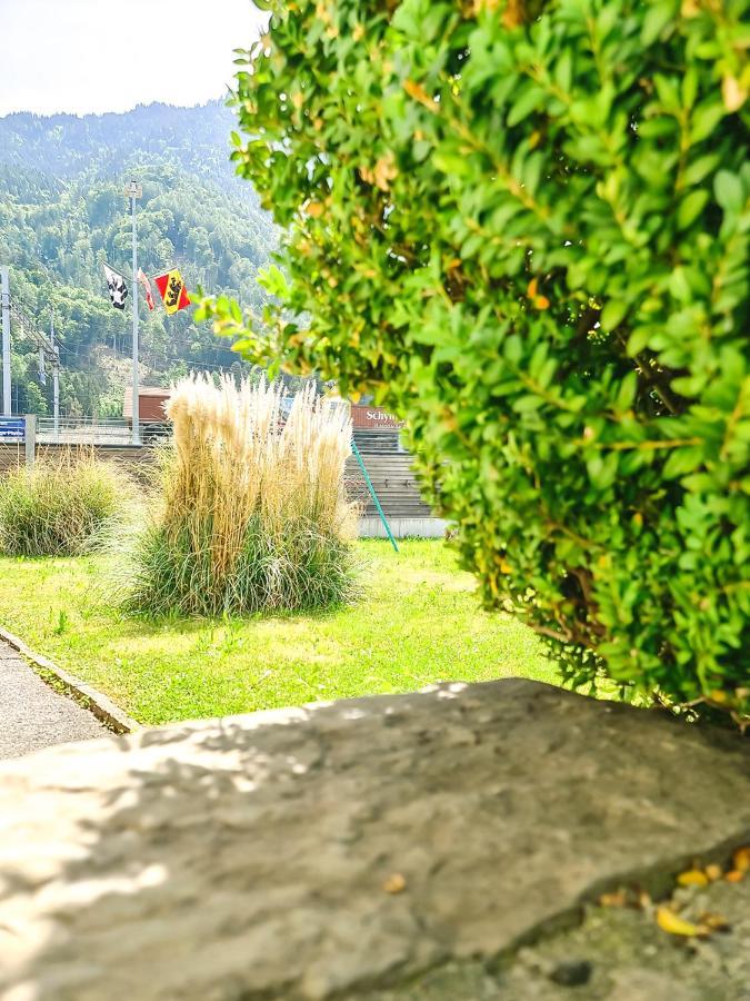Kreuz Apartment - Aare Jungfrau Ag Wilderswil Buitenkant foto